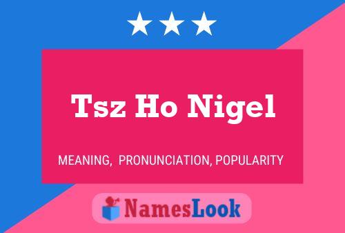 Tsz Ho Nigel Name Poster