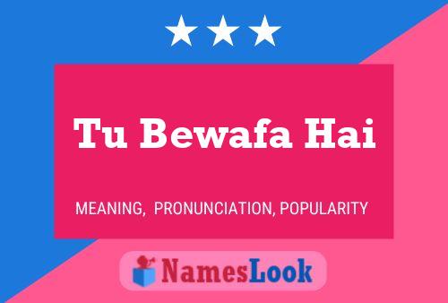 Tu Bewafa Hai Name Poster