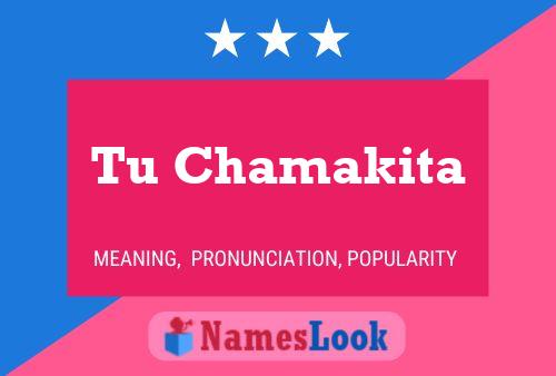 Tu Chamakita Name Poster