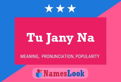 Tu Jany Na Name Poster