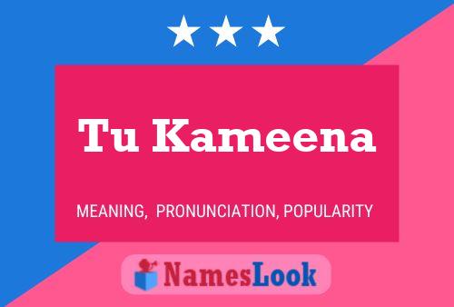 Tu Kameena Name Poster