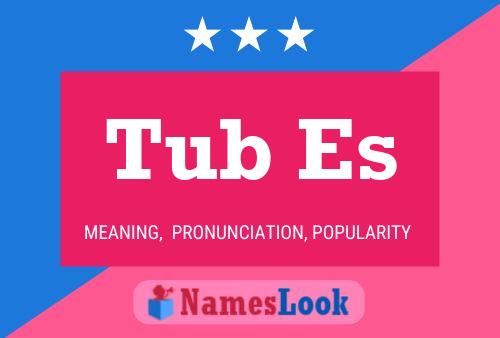 Tub Es Name Poster