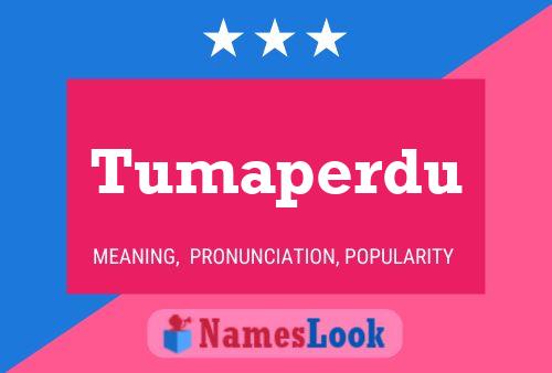 Tumaperdu Name Poster