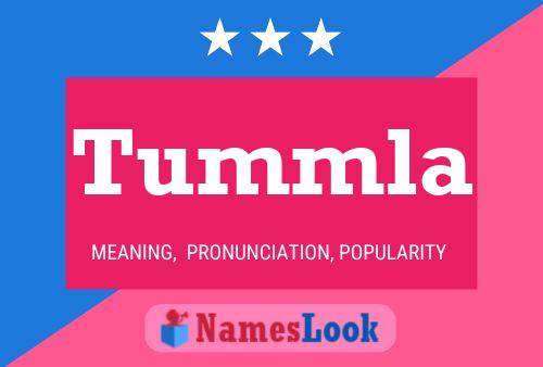 Tummla Name Poster