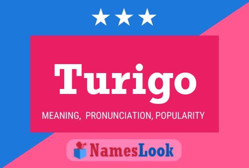 Turigo Name Poster