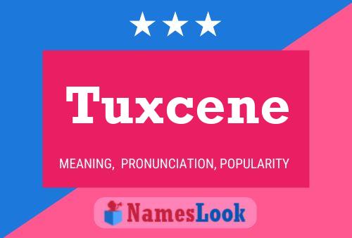 Tuxcene Name Poster