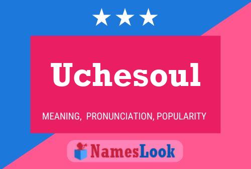 Uchesoul Name Poster