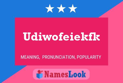 Udiwofeiekfk Name Poster