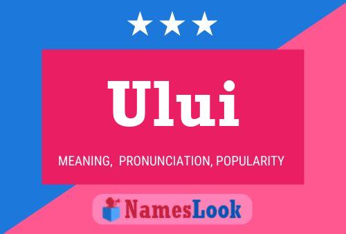 Ului Name Poster