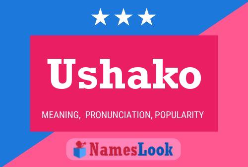 Ushako Name Poster