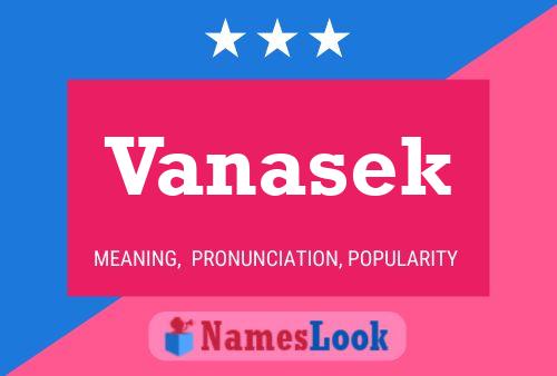 Vanasek Name Poster