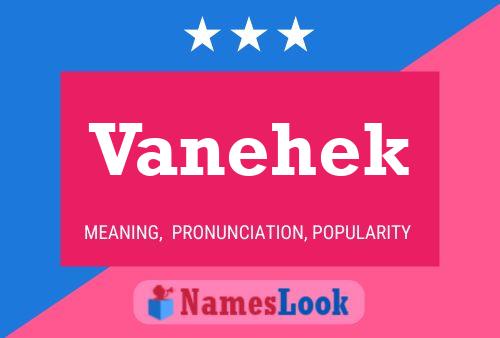 Vanehek Name Poster