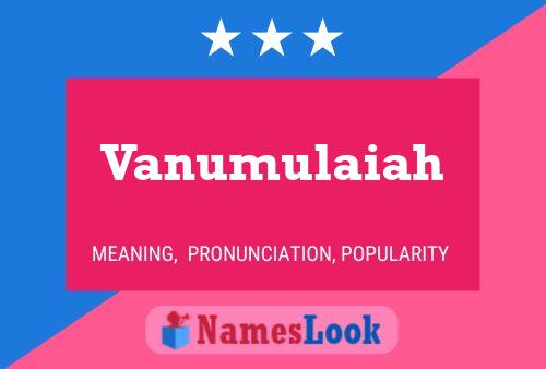 Vanumulaiah Name Poster