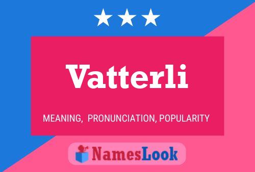 Vatterli Name Poster