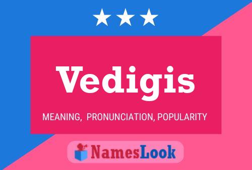 Vedigis Name Poster