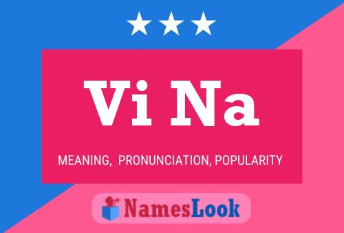 Vi Na Name Poster