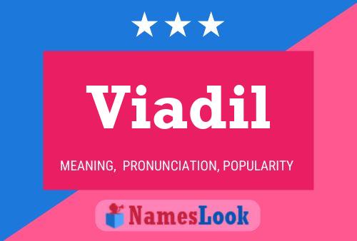 Viadil Name Poster