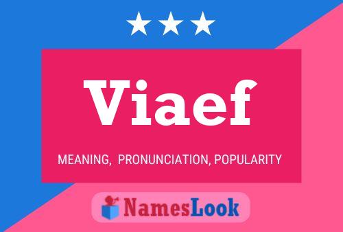 Viaef Name Poster