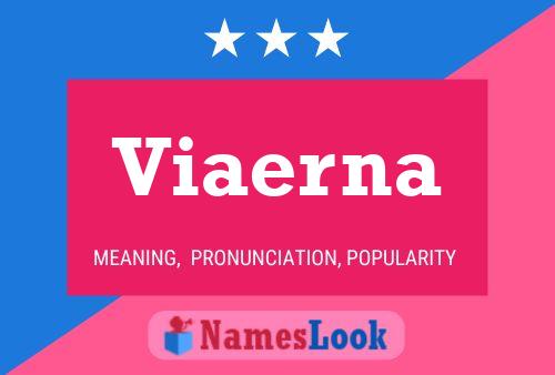 Viaerna Name Poster