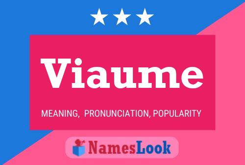 Viaume Name Poster