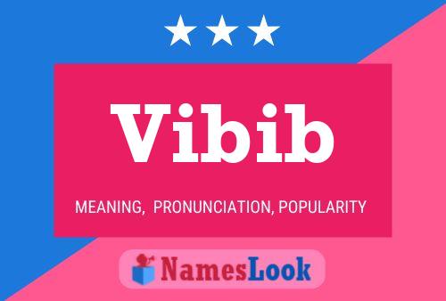 Vibib Name Poster