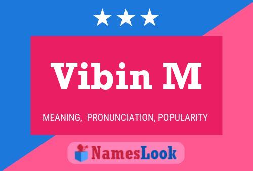 Vibin M Name Poster