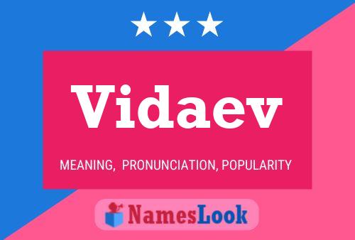 Vidaev Name Poster