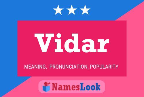 Vidar Name Poster