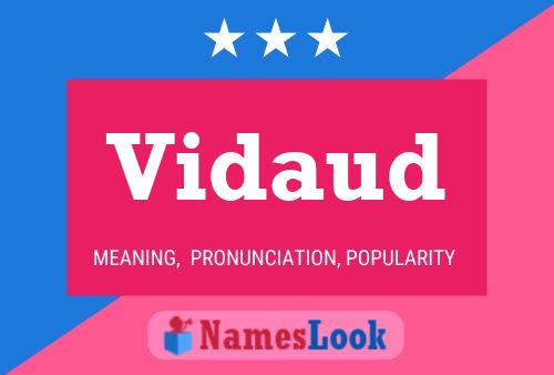 Vidaud Name Poster