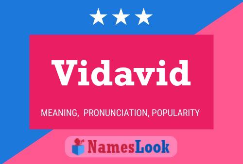 Vidavid Name Poster