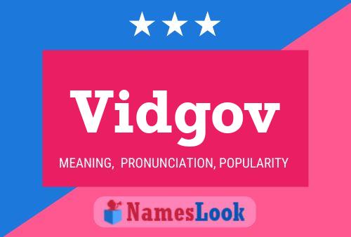 Vidgov Name Poster