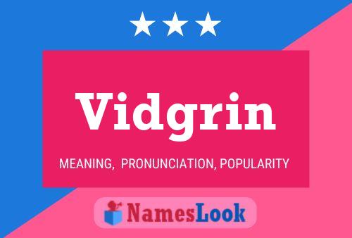 Vidgrin Name Poster