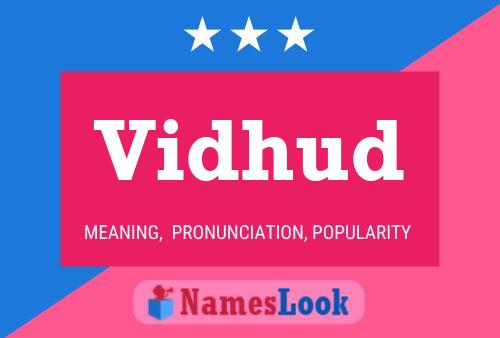 Vidhud Name Poster