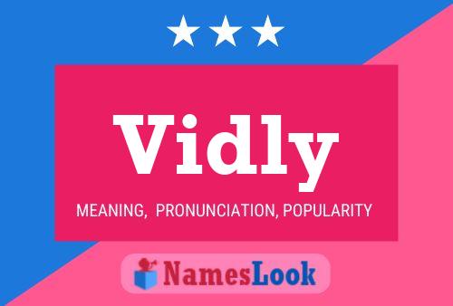 Vidly Name Poster