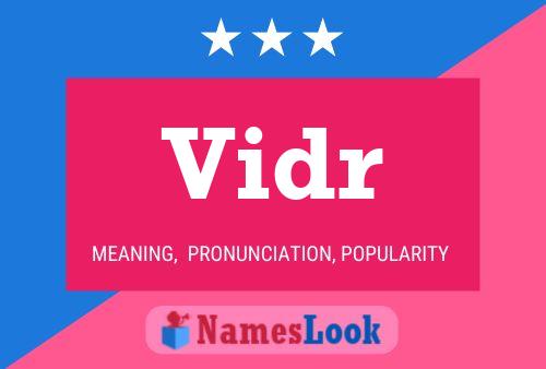 Vidr Name Poster