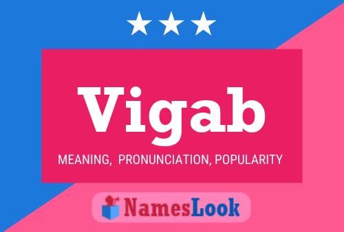 Vigab Name Poster