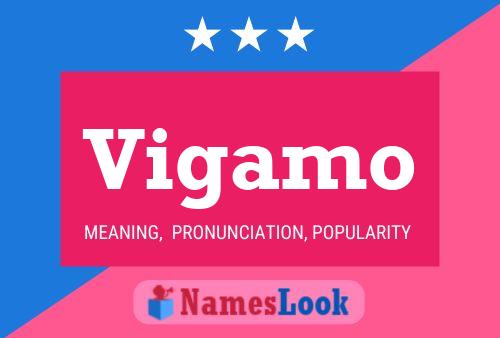 Vigamo Name Poster