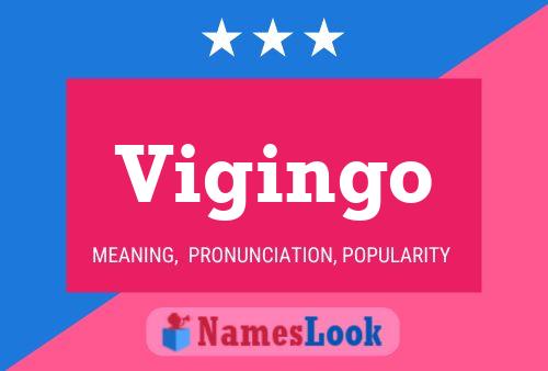 Vigingo Name Poster