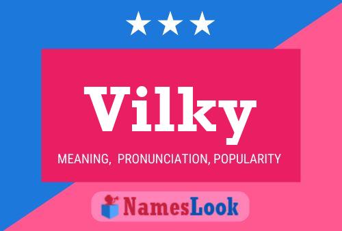 Vilky Name Poster