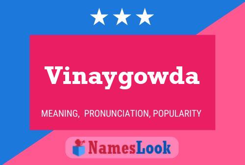 Vinaygowda Name Poster