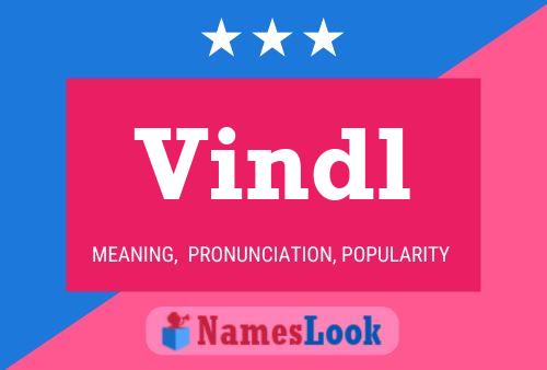 Vindl Name Poster