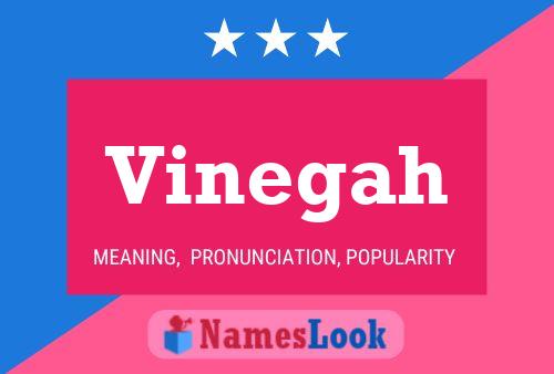 Vinegah Name Poster