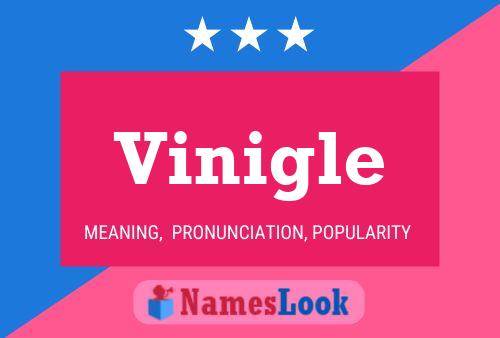 Vinigle Name Poster