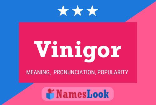 Vinigor Name Poster