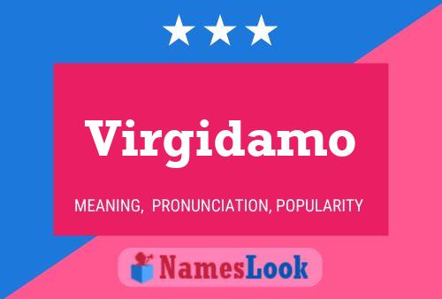 Virgidamo Name Poster