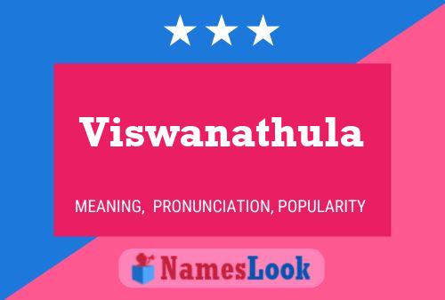 Viswanathula Name Poster