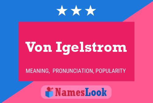 Von Igelstrom Name Poster