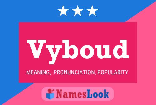 Vyboud Name Poster