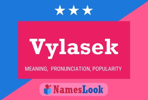 Vylasek Name Poster