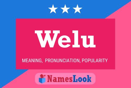 Welu Name Poster